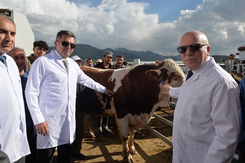 Erzurum Valisi Memiş, "Avrupa'nın en büyük canlı hayvan pazarında" incelemelerde bulundu